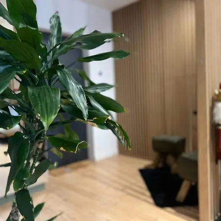 Moderno En El Centro !-checkhostprofile-! Hébergement de vacances